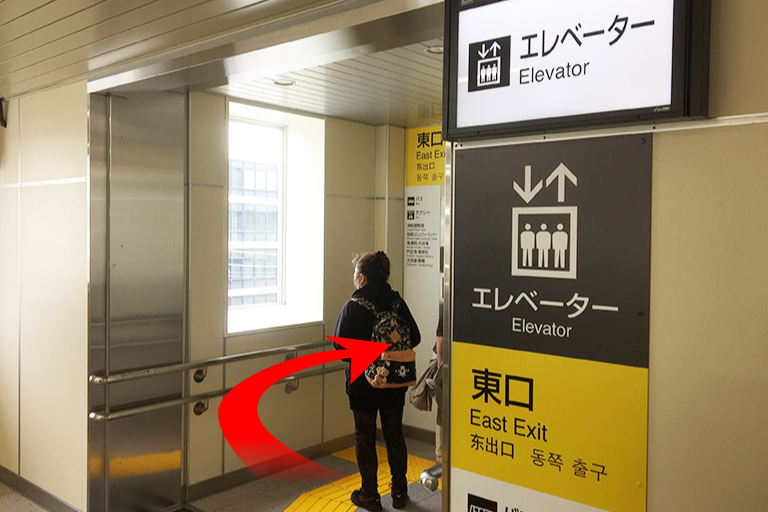 導入コースの選択